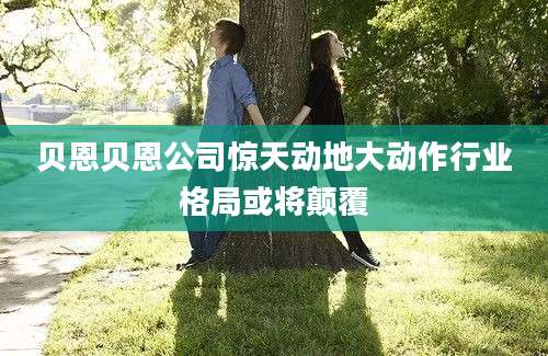 贝恩贝恩公司惊天动地大动作行业格局或将颠覆