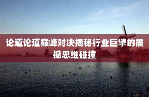 论道论道巅峰对决揭秘行业巨擘的震撼思维碰撞