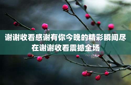 谢谢收看感谢有你今晚的精彩瞬间尽在谢谢收看震撼全场
