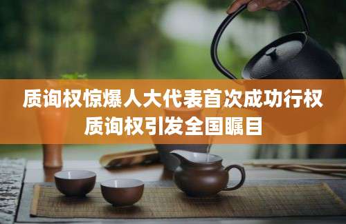 质询权惊爆人大代表首次成功行权质询权引发全国瞩目