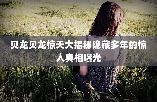 贝龙贝龙惊天大揭秘隐藏多年的惊人真相曝光