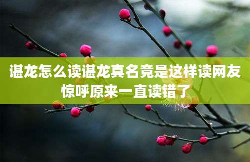 谌龙怎么读谌龙真名竟是这样读网友惊呼原来一直读错了