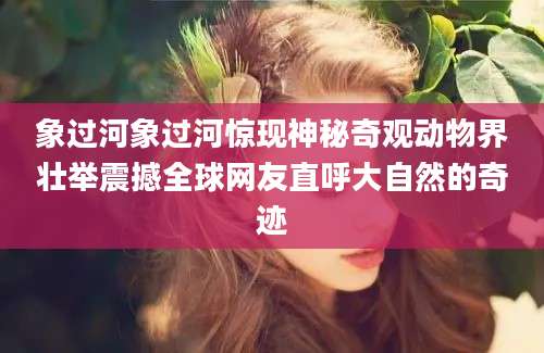 象过河象过河惊现神秘奇观动物界壮举震撼全球网友直呼大自然的奇迹