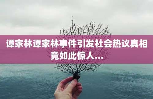 谭家林谭家林事件引发社会热议真相竟如此惊人...