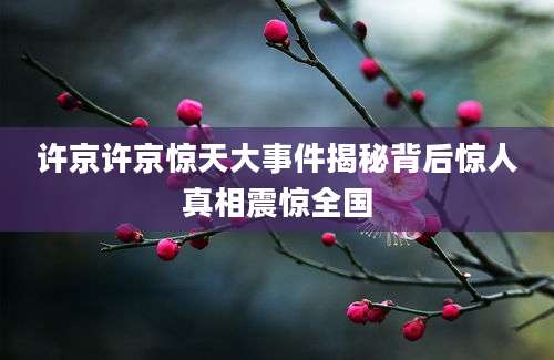 许京许京惊天大事件揭秘背后惊人真相震惊全国
