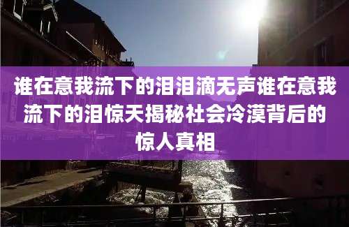 谁在意我流下的泪泪滴无声谁在意我流下的泪惊天揭秘社会冷漠背后的惊人真相