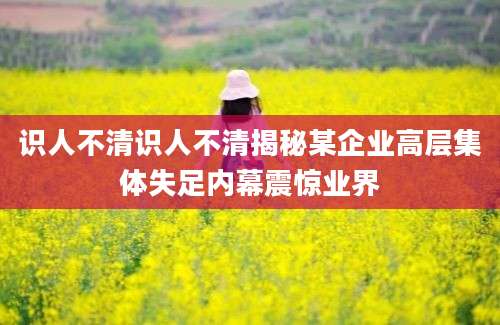 识人不清识人不清揭秘某企业高层集体失足内幕震惊业界