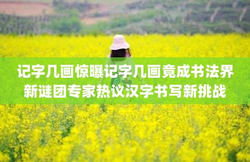 记字几画惊曝记字几画竟成书法界新谜团专家热议汉字书写新挑战