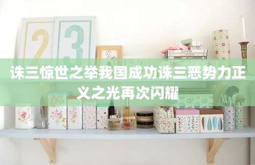 诛三惊世之举我国成功诛三恶势力正义之光再次闪耀