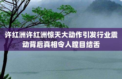 许红洲许红洲惊天大动作引发行业震动背后真相令人瞠目结舌