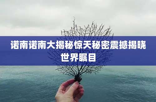 诺南诺南大揭秘惊天秘密震撼揭晓世界瞩目