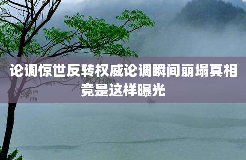 论调惊世反转权威论调瞬间崩塌真相竟是这样曝光
