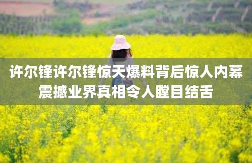 许尔锋许尔锋惊天爆料背后惊人内幕震撼业界真相令人瞠目结舌