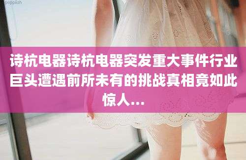诗杭电器诗杭电器突发重大事件行业巨头遭遇前所未有的挑战真相竟如此惊人...