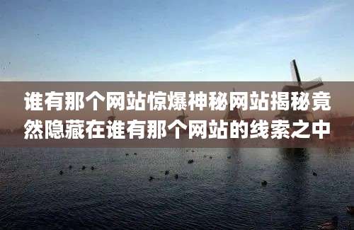谁有那个网站惊爆神秘网站揭秘竟然隐藏在谁有那个网站的线索之中