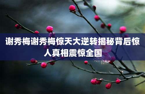 谢秀梅谢秀梅惊天大逆转揭秘背后惊人真相震惊全国