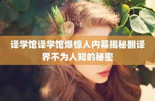 译学馆译学馆爆惊人内幕揭秘翻译界不为人知的秘密