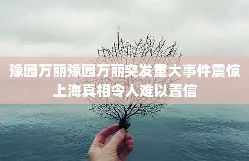 豫园万丽豫园万丽突发重大事件震惊上海真相令人难以置信