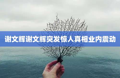 谢文辉谢文辉突发惊人真相业内震动
