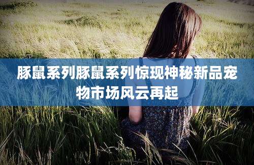 豚鼠系列豚鼠系列惊现神秘新品宠物市场风云再起