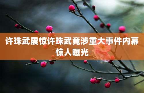 许珠武震惊许珠武竟涉重大事件内幕惊人曝光