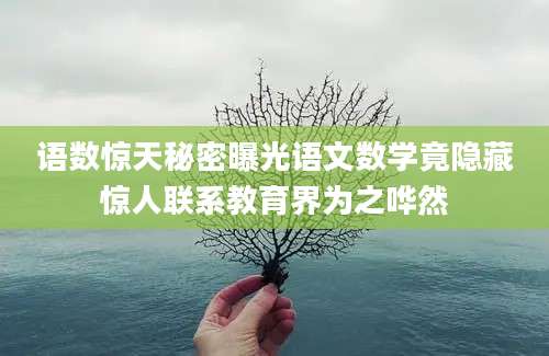 语数惊天秘密曝光语文数学竟隐藏惊人联系教育界为之哗然