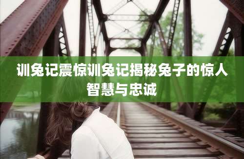 训兔记震惊训兔记揭秘兔子的惊人智慧与忠诚