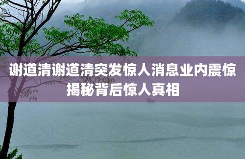 谢道清谢道清突发惊人消息业内震惊揭秘背后惊人真相