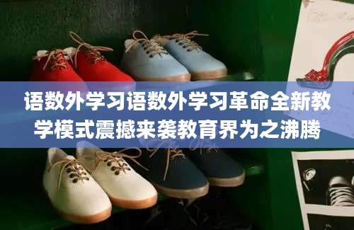 语数外学习语数外学习革命全新教学模式震撼来袭教育界为之沸腾