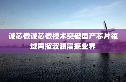 诚芯微诚芯微技术突破国产芯片领域再掀波澜震撼业界