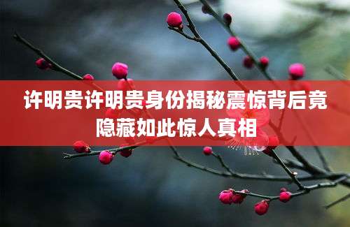 许明贵许明贵身份揭秘震惊背后竟隐藏如此惊人真相