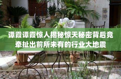 谭霞谭霞惊人揭秘惊天秘密背后竟牵扯出前所未有的行业大地震