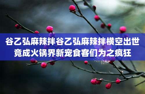 谷乙弘麻辣拌谷乙弘麻辣拌横空出世竟成火锅界新宠食客们为之疯狂