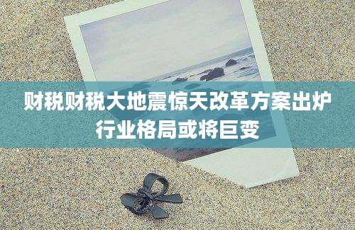 财税财税大地震惊天改革方案出炉行业格局或将巨变