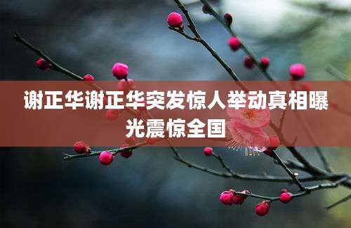 谢正华谢正华突发惊人举动真相曝光震惊全国