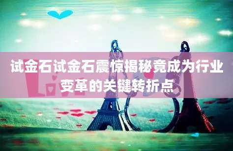 试金石试金石震惊揭秘竟成为行业变革的关键转折点