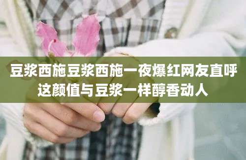 豆浆西施豆浆西施一夜爆红网友直呼这颜值与豆浆一样醇香动人