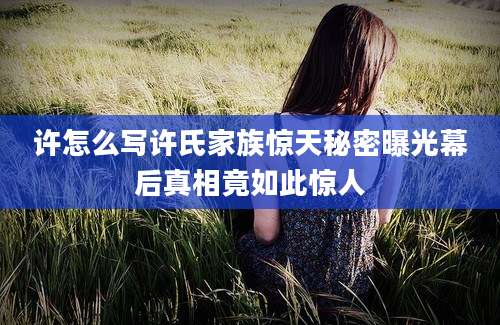 许怎么写许氏家族惊天秘密曝光幕后真相竟如此惊人