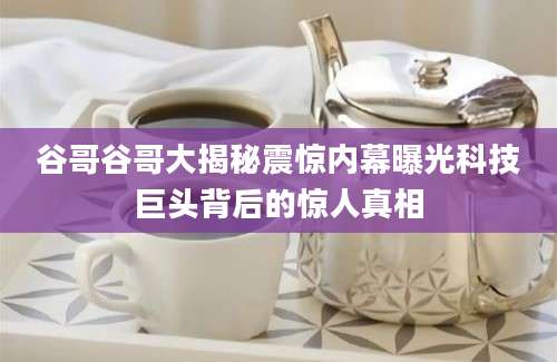 谷哥谷哥大揭秘震惊内幕曝光科技巨头背后的惊人真相