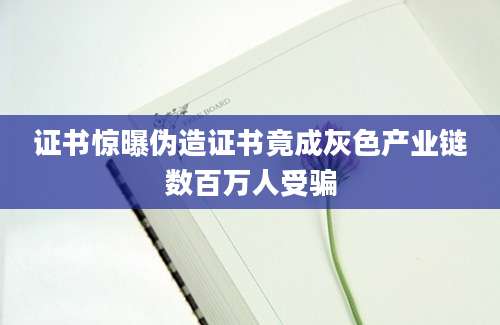 证书惊曝伪造证书竟成灰色产业链数百万人受骗