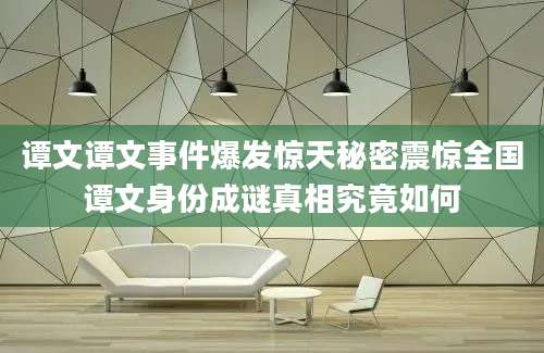 谭文谭文事件爆发惊天秘密震惊全国谭文身份成谜真相究竟如何