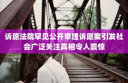 诉愿法院罕见公开审理诉愿案引发社会广泛关注真相令人震惊