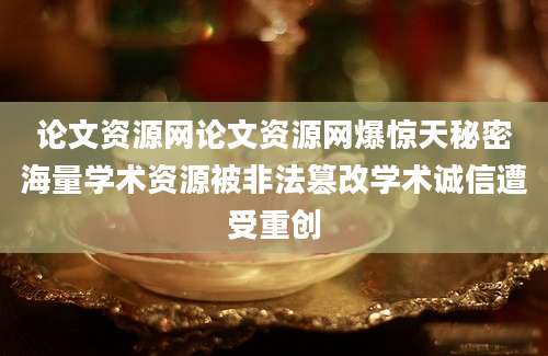 论文资源网论文资源网爆惊天秘密海量学术资源被非法篡改学术诚信遭受重创