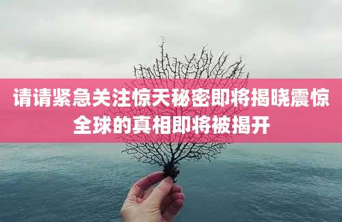 请请紧急关注惊天秘密即将揭晓震惊全球的真相即将被揭开