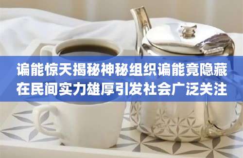 谝能惊天揭秘神秘组织谝能竟隐藏在民间实力雄厚引发社会广泛关注