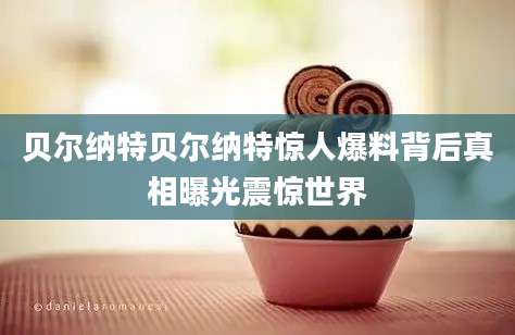 贝尔纳特贝尔纳特惊人爆料背后真相曝光震惊世界