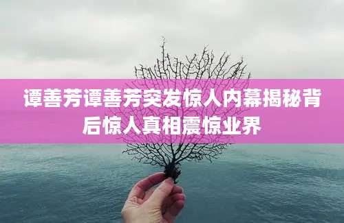 谭善芳谭善芳突发惊人内幕揭秘背后惊人真相震惊业界