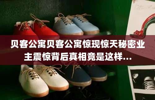 贝客公寓贝客公寓惊现惊天秘密业主震惊背后真相竟是这样...