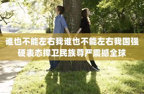 谁也不能左右我谁也不能左右我国强硬表态捍卫民族尊严震撼全球
