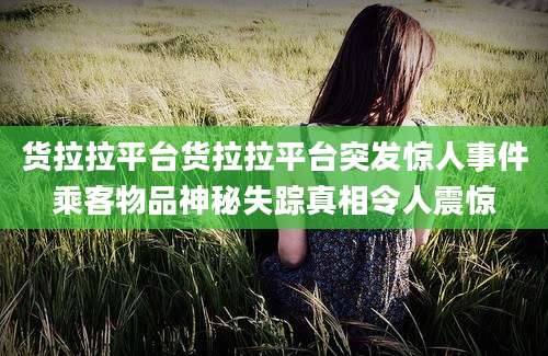 货拉拉平台货拉拉平台突发惊人事件乘客物品神秘失踪真相令人震惊
